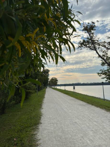 istock Walking road in singapore beautiful place 2173670931