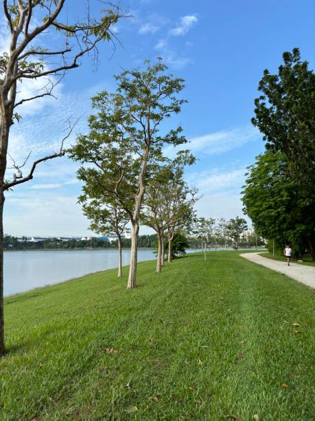 istock Walking road in singapore beautiful place 2173671187