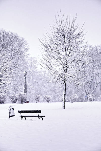 istock An empty snow-covered park bench near a tree on a winter day. Snow-covered city park, snowfall. Winter landscape. 2173671870