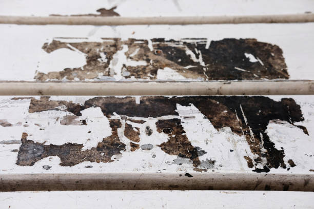 texture of wood and  brown background