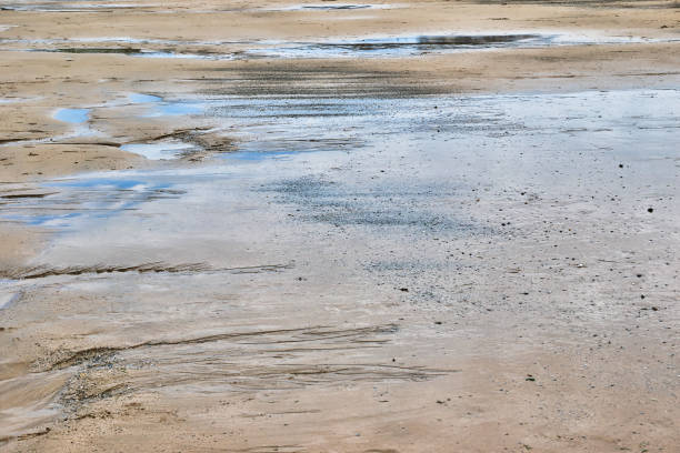 istock Tranquil Beach with Reflections on Wet Sand at Mawgan Porth Beach, Newquay, Cornwall 2173686899