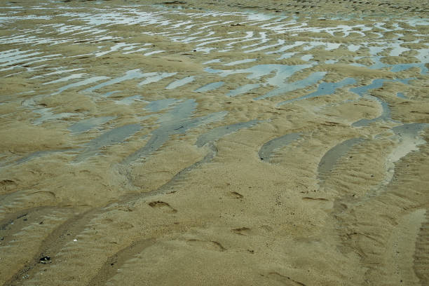 istock Tranquil Beach Patterns at Low Tide at Mawgan Porth Beach, Newquay, Cornwall 2173687057