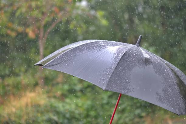 istock Umbrella in the pouring rain 2173690019