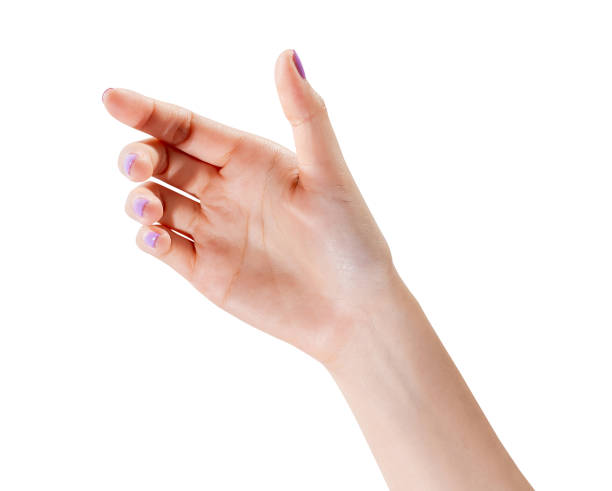 istock Clipping path, woman hand touching or pointing on isolated white background. 2173696557