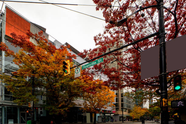 istock Autumn Leaves in Vancouver City 2173707363