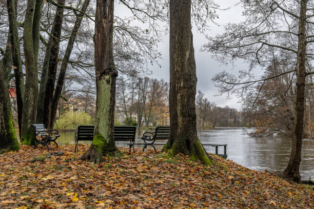 istock November in Sweden 2173709199