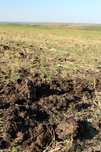 istock A large field with dirt and grass 2173729287