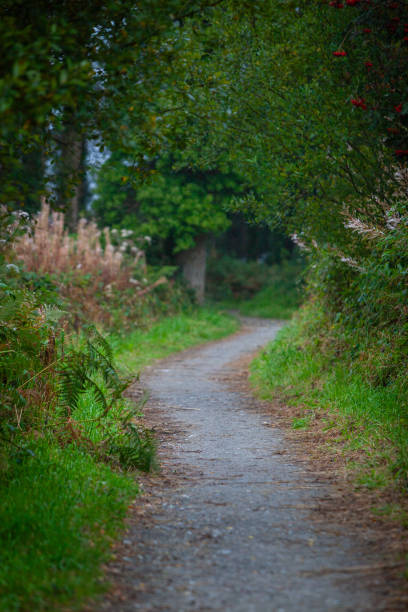 istock A misty morning in England 2173732229
