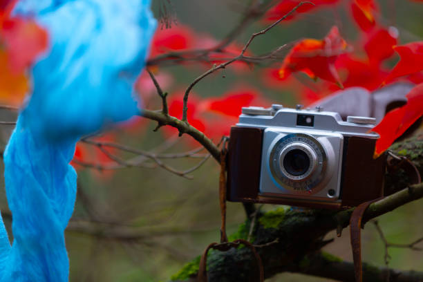 An old camera photographed in nature