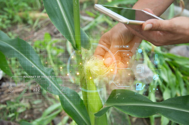 istock The concept of using AI and smart farming. 2173740909