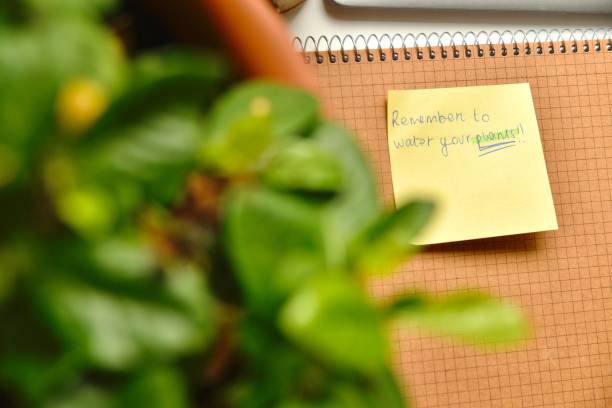 istock Reminder to water plants written on a sticky note on the desk 2173743075