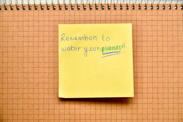 istock Reminder to water plants written on a sticky note on the desk 2173743136