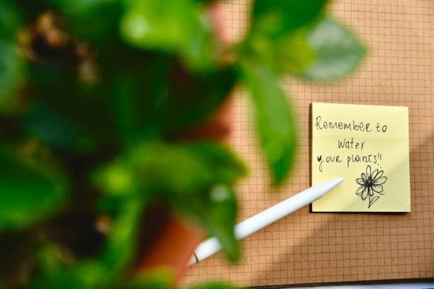 istock Reminder to water plants written on a sticky note on the desk 2173743157