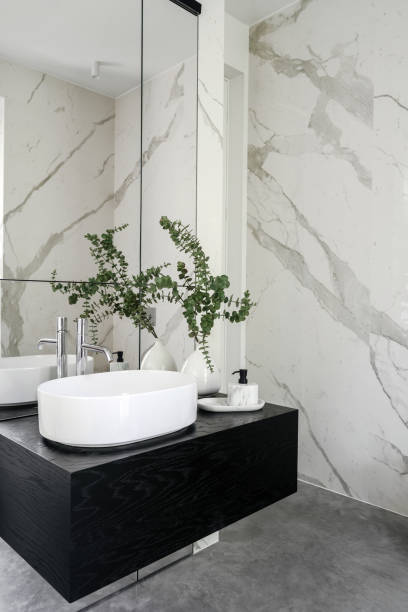 istock Bathroom interior with mirror over white basin and decorative plant against a marble wall 2173743347