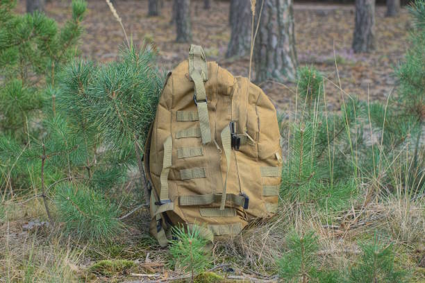 istock one brown full army backpack stands on the ground among small green pine trees 2173744837