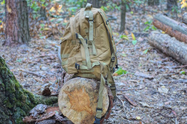 istock one brown army backpack stands on a gray wooden log 2173746038