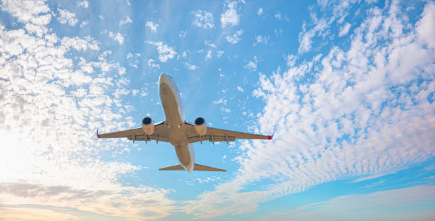 istock Airplane flying over tropical sea at sunset 2173748523