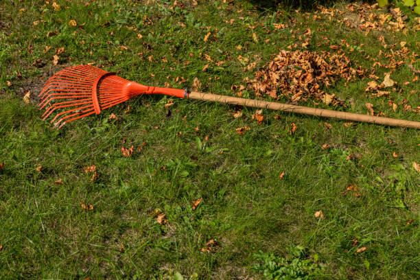 istock Raking grass in the garden with a red rake for sweeping leaves 2173752804