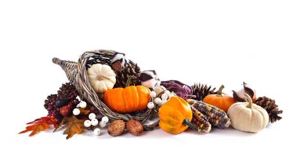 istock Thanksgiving cornucopia filled with autumn vegetables, pumpkins and fall decor isolated on white 2173752912
