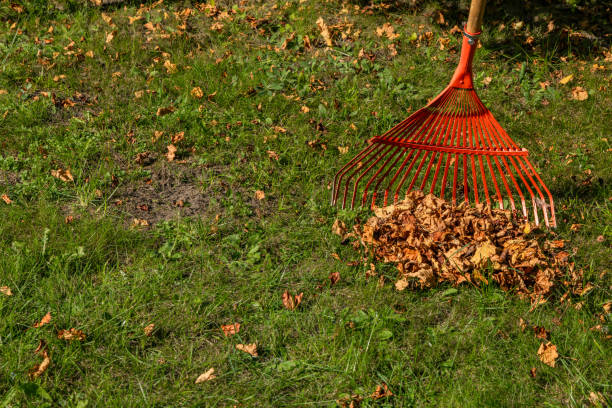istock Raking grass in the garden with a red rake for sweeping leaves 2173753002