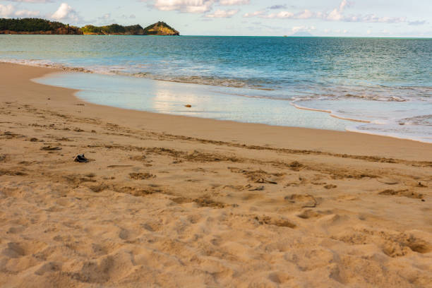 istock Caribbean beach with white sand, deep blue sky and turquoise water 2173753137