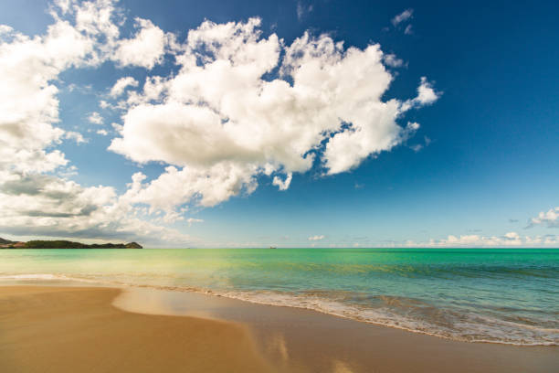 Caribbean beach with white sand, deep blue sky and turquoise water
