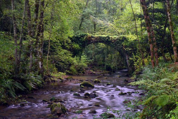 istock Romanesque bridge of Artzubi (16th century) over the Golako river. 2173759036