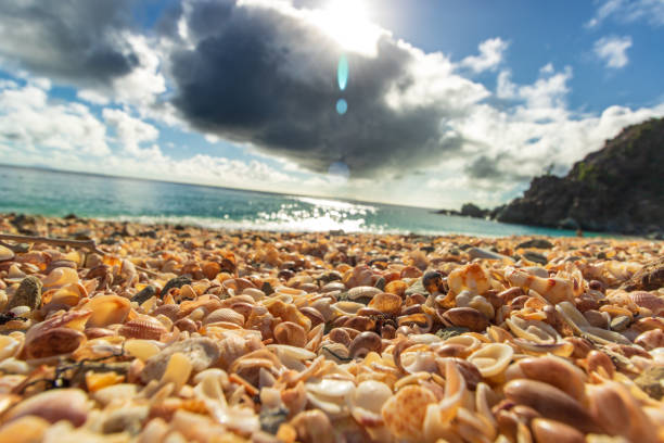 Peaceful beach in Saint Barthelemy (St. Barts, St. Barth) Caribbean