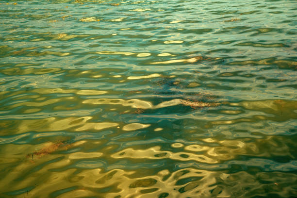 Lake Doiran water surface as abstract natural background, selective focus