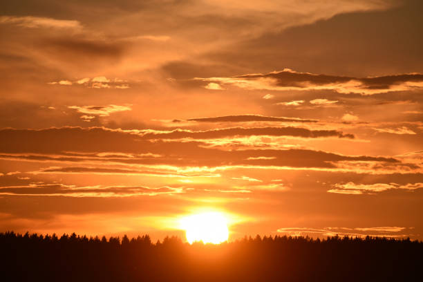 The setting sun on the background of the forest horizon.