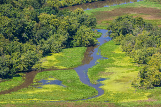 Mississippi River Backwaters Aerial View