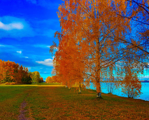Autumn landscape with orange and red trees overlooking a lake