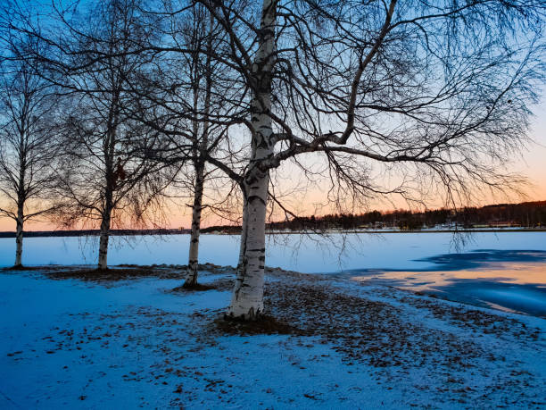 A winter sunset overlooking a frozen lake
