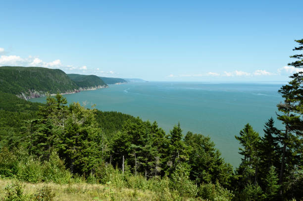 istock Bay of Fundy 2173778648