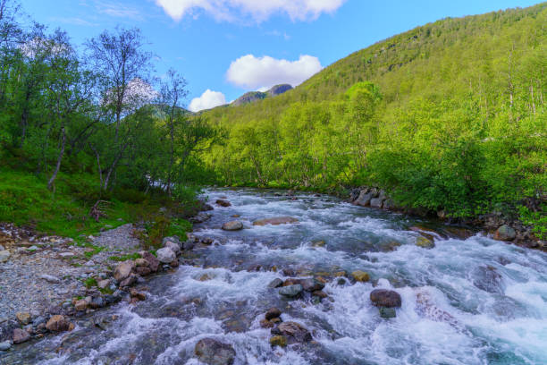 The Hemsila River meanders through the stunning Norwegian landscape, surrounded by sommer colors and mountainous terrain