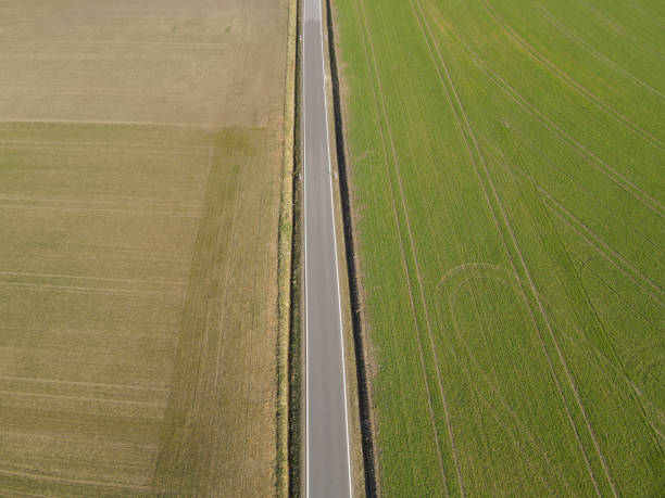 istock Aerial view of a road between agriculture fields in spring 2173781630