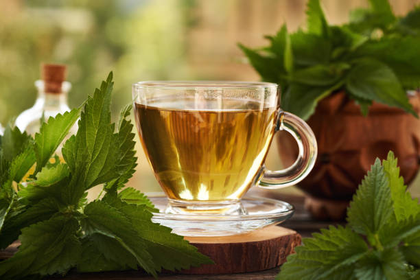 istock A cup of herbal tea with fresh nettles on a table outdoors in nature 2173783889