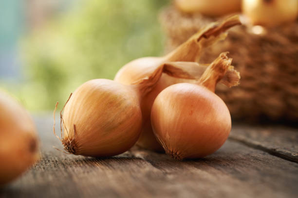 istock Yellow onions on a wooden table outdoors, close up 2173783987