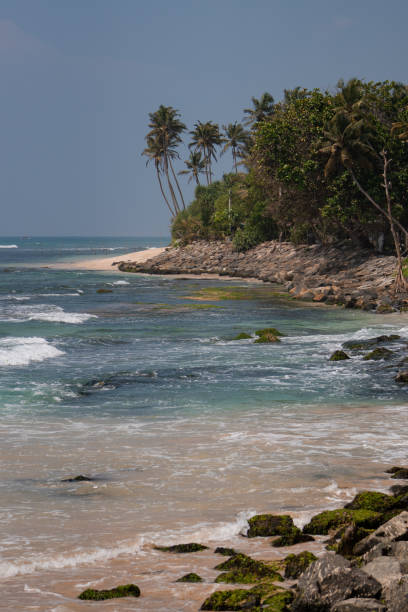 istock Waves crash against a coral reef at low tide. 2173787956