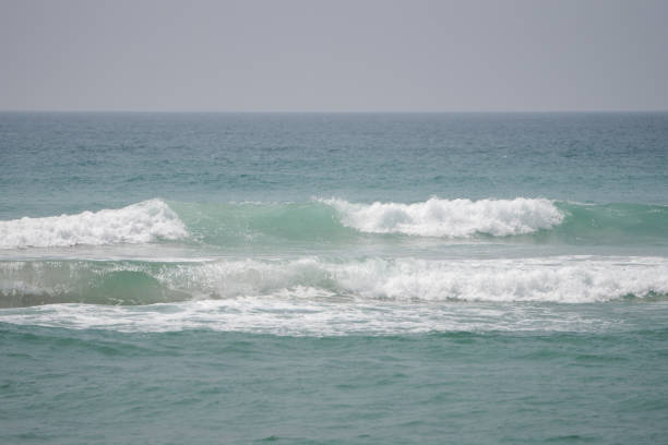 Sea waves crash against coral. Indian Ocean, Sri Lanka.