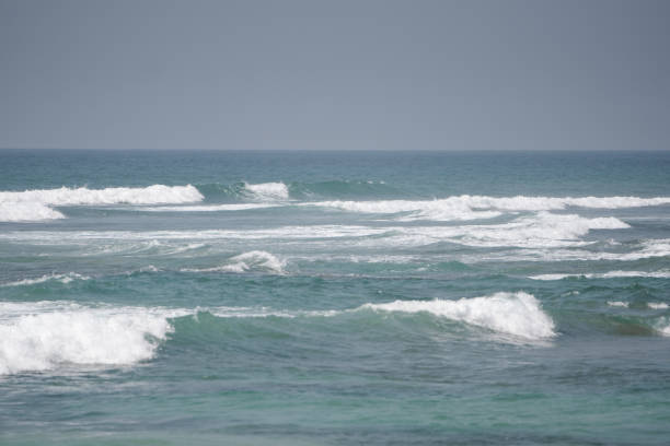 istock Sea waves crash against coral. 2173788027