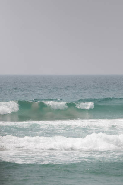 istock Sea waves crash against coral. 2173788121
