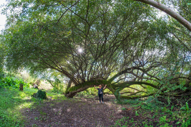 istock Woman on the Ripasottile Oasis 2173798253
