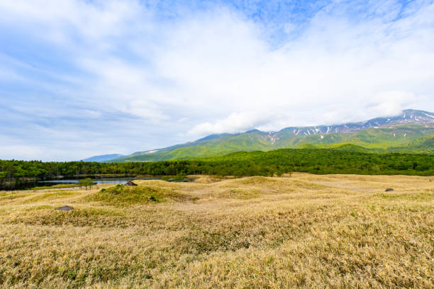 Shiretoko Five Lakes, Hokkaido.