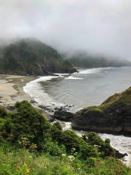 istock Scenic view Cape Cove Beach and Devils Elbow at Oregon Pacific Coast, USA 2173808418