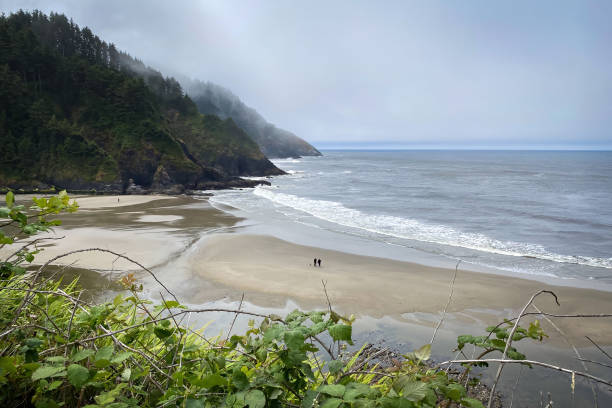 istock Scenic view Cape Cove Beach and Devils Elbow at Oregon Pacific Coast, USA 2173808422