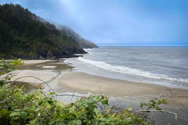 istock Scenic view Cape Cove Beach and Devils Elbow at Oregon Pacific Coast, USA 2173808425