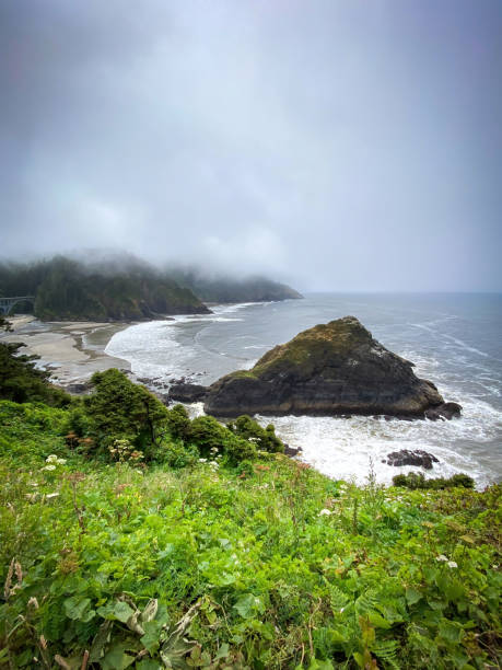 istock Scenic view Cape Cove Beach and Devils Elbow at Oregon Pacific Coast, USA 2173808446
