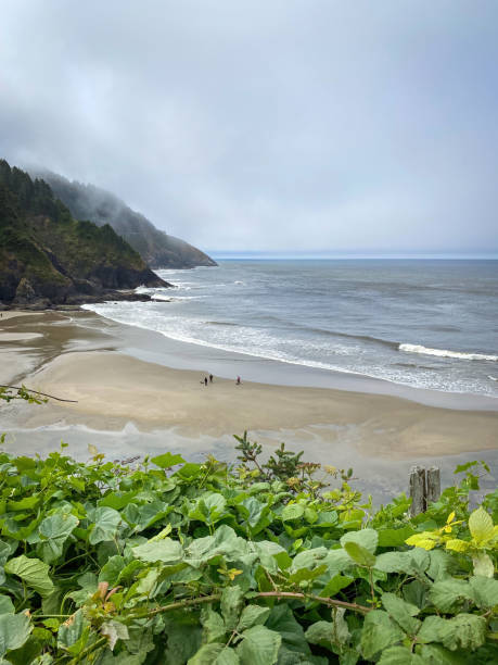 istock Scenic view Cape Cove Beach and Devils Elbow at Oregon Pacific Coast, USA 2173808455
