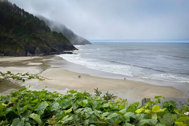 istock Scenic view Cape Cove Beach and Devils Elbow at Oregon Pacific Coast, USA 2173808456